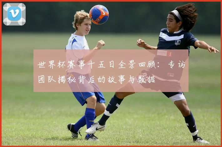 世界杯赛事十五日全景回顾：专访团队揭秘背后的故事与数据