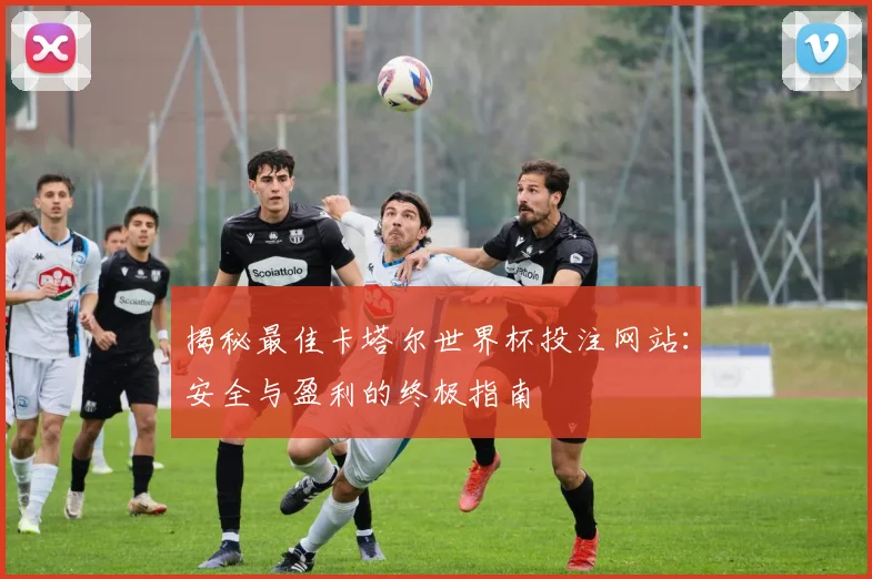 揭秘最佳卡塔尔世界杯投注网站：安全与盈利的终极指南