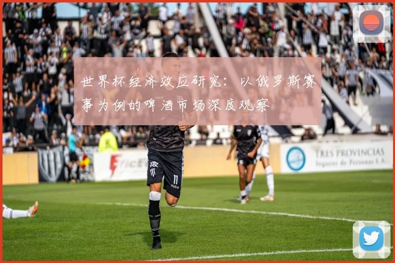 世界杯经济效应研究：以俄罗斯赛事为例的啤酒市场深度观察